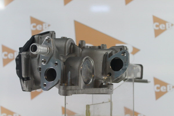 DA SILVA GR6136: Válvula EGR con radiator EGR
