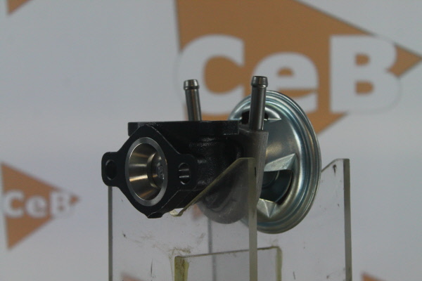 DA SILVA GR6150: AGR-szelep