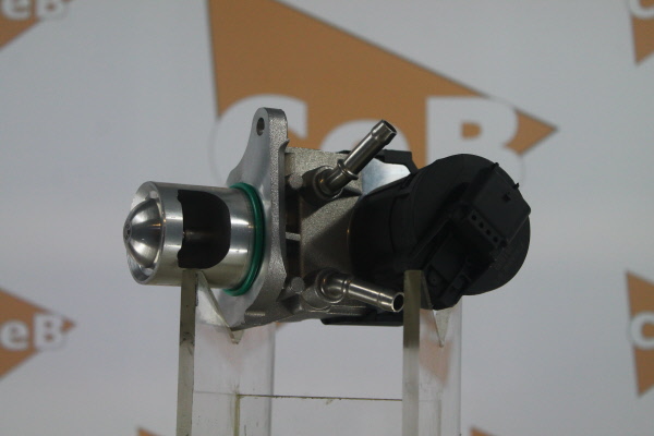DA SILVA GR6156: AGR-Ventil