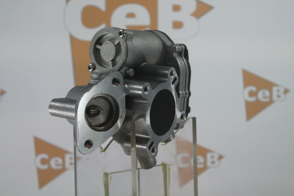 DA SILVA GR6159: Válvula EGR