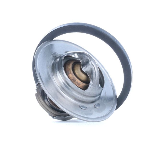 MOTORAD 276-89K Kühlwasserthermostat RENAULT MEGANE Scenic (JA0/1_) 114 PS Benzin Kosten