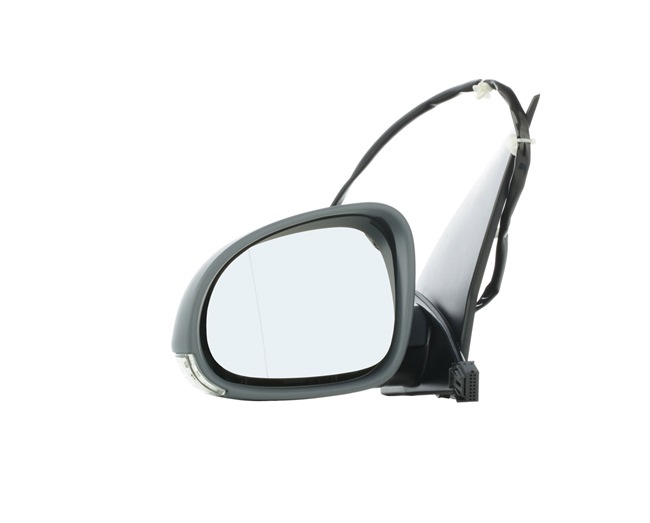 VAN WEZEL 5894805 Specchietto retrovisore esterno VOLKSWAGEN Golf 5 (1K1) 105 CV Diesel costo