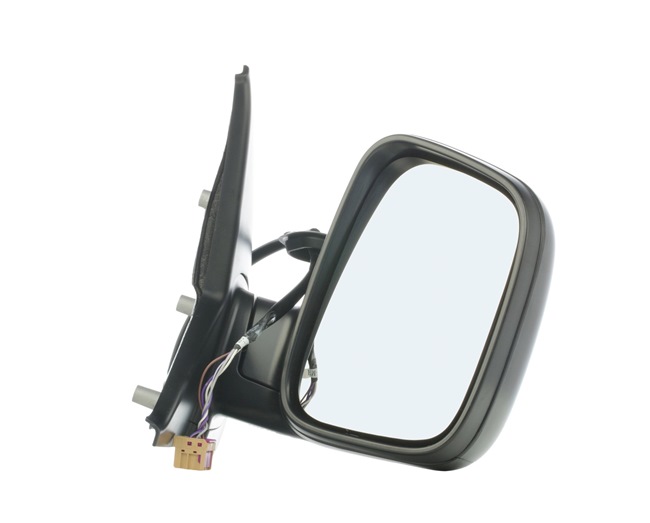 VAN WEZEL 5896808: Specchietto retrovisore esterno * HAGUS * Dx
