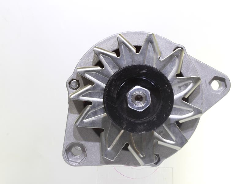 ALANKO 10442973: Alternator 65A