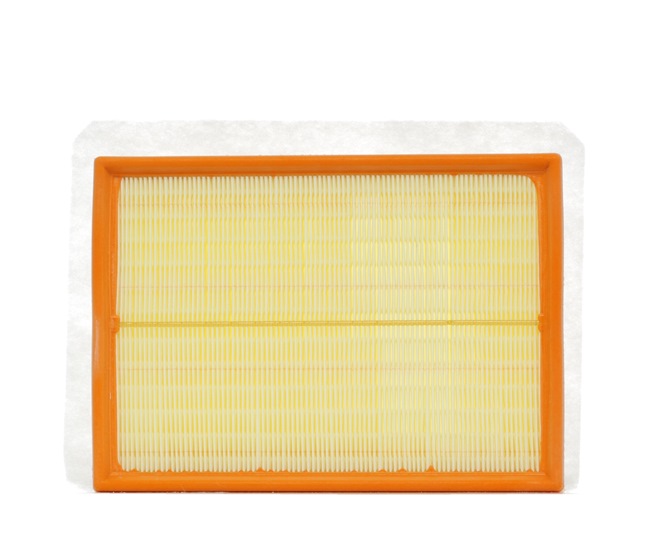 PURFLUX A1228 Luftfilter