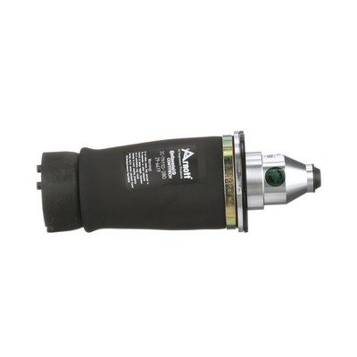 Arnott A-2133: Luftfeder, Fahrwerk Original Arnott Produkt hinten