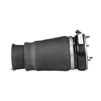 Arnott A-2862: Pernă de aer Original Arnott Product fata stanga, Axa fata stanga