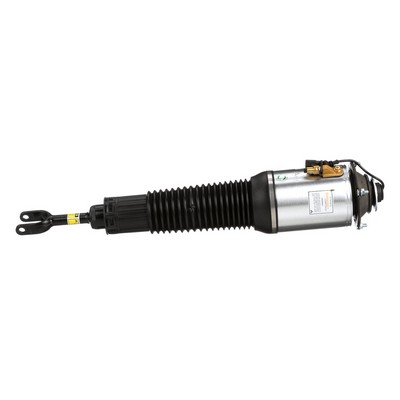 Arnott AS-2560 Ammortizzatore pneumatico AUDI A8 (4E2, 4E8) 441 CV Benzina costo