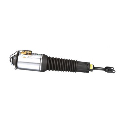 Arnott AS-2561 Ammortizzatore pneumatico AUDI A8 (4E2, 4E8) 441 CV Benzina costo
