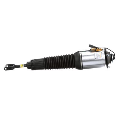 Arnott AS-2562 Ammortizzatore pneumatico AUDI A8 (4E2, 4E8) 450 CV Benzina costo