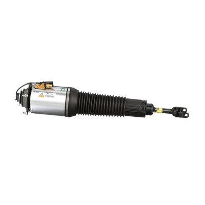 Arnott AS-2563 Ammortizzatore pneumatico AUDI A8 (4E2, 4E8) 450 CV Benzina costo