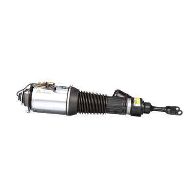 Arnott AS-2581 Ammortizzatore pneumatico VOLKSWAGEN Phaeton (3D1, 3D2, 3D3, 3D4, 3D6, 3D7, 3D8, 3D9) 250 CV Benzina costo