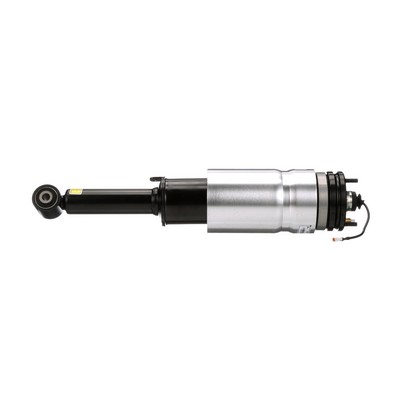Arnott AS-2761: Luftfederbein Original Arnott Produkt vorne