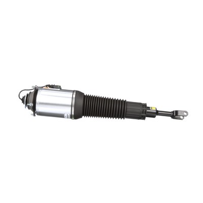 Arnott AS-2775 Ammortizzatore pneumatico AUDI A8 (4E2, 4E8) 441 CV Benzina costo