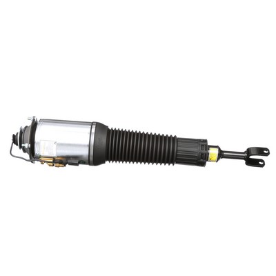 Arnott AS-2778 Ammortizzatore pneumatico AUDI A8 (4E2, 4E8) 450 CV Benzina costo