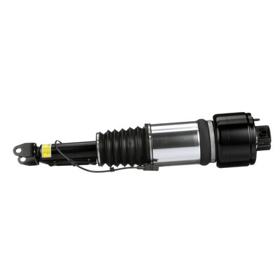 Arnott AS-2788: Luftfederbein Original Arnott Produkt vorne links