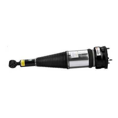 Arnott AS-2894: Luftfederbein Original Arnott Produkt vorne