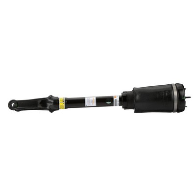 Arnott AS-3005: Luftfederbein Original Arnott Produkt vorne