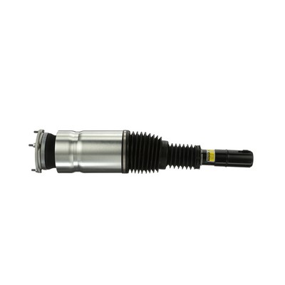 Arnott AS-3069: Amortiguador neumático Producto Original Arnott Delante, derecha