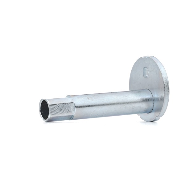 TEDGUM TED39615: Tornillo prisionero, rótula pivote mangueta