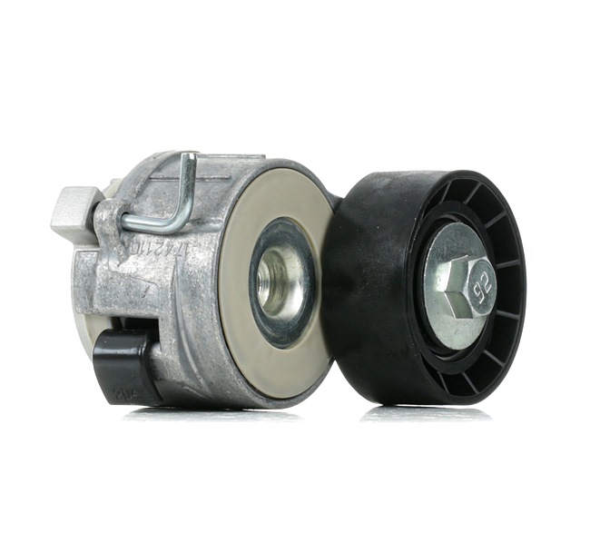 DAYCO APV2463: Intinzator curea, curea distributie