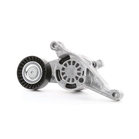 DAYCO APV2501: Intinzator curea, curea distributie
