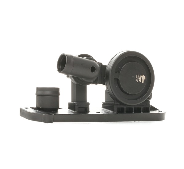 ESEN SKV 31SKV004 Klep, ontluchting nokkenasbehuizing AUDI A4 Cabrio (8H7, B6, 8HE, B7) 200 Pk Benzine kosten