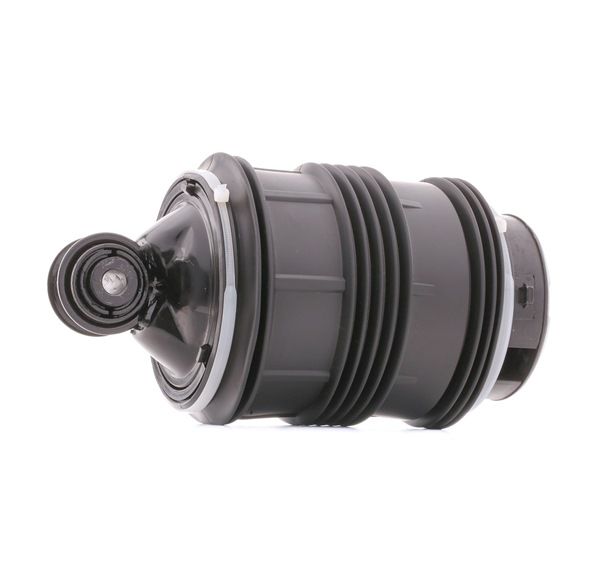 RIDEX 4119A0002: Luftfeder, Fahrwerk Hinterachse