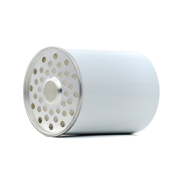 RIDEX 9F0152: Kraftstofffilter mit Dichtung