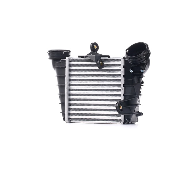 RIDEX 468I0058: Intercooler Kunststof