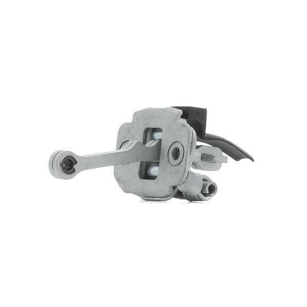 RIDEX 3251D0002: Deurvastzetter Rechts voor, Links voor