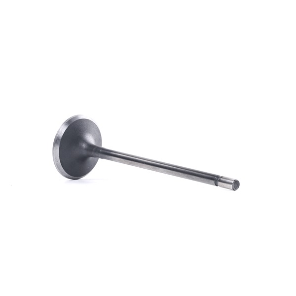 STARK SKINV-3270002: Inlaatklep Klepsteeleind gehard