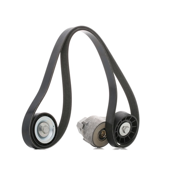 DAYCO KPV285: Set curea transmisie cu caneluri