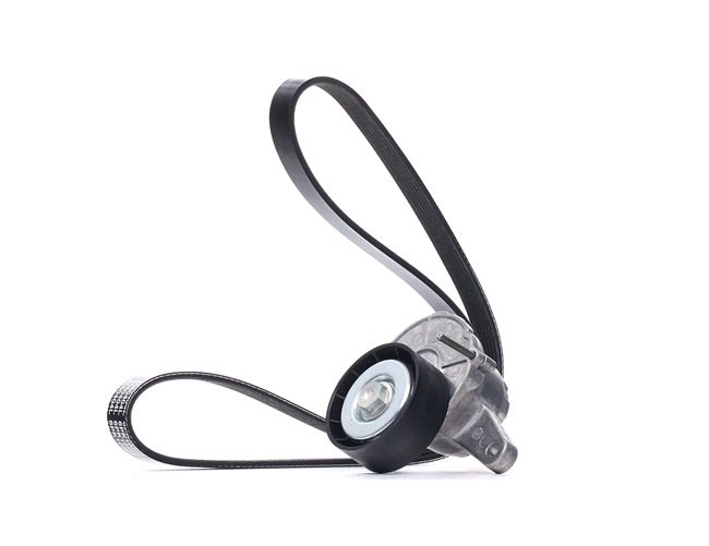 DAYCO KPV288: Set curea transmisie cu caneluri