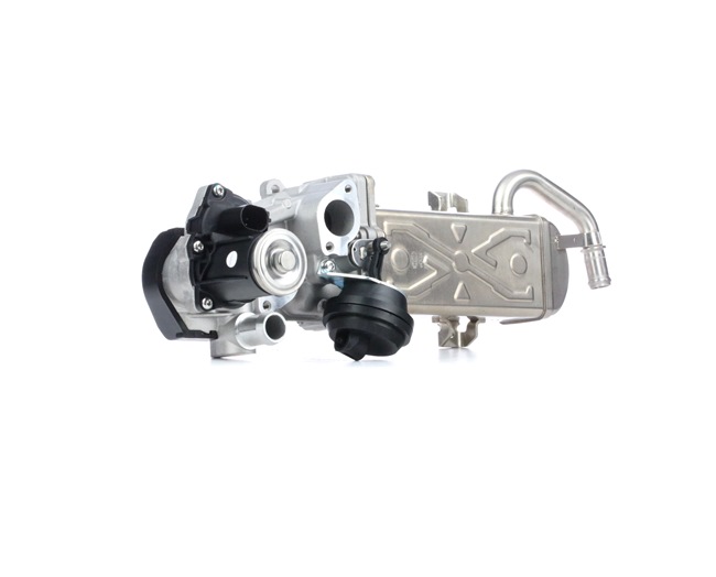 MAGNETI MARELLI 571822112060 EGR klep VOLKSWAGEN Passat Variant (365) 140 Pk Diesel kosten