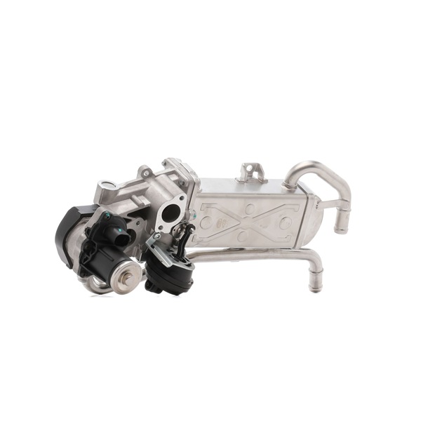 MAGNETI MARELLI 571822112070: AGR-Ventil