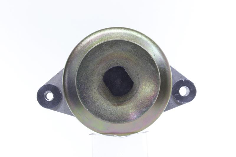 ALANKO 10443884: Alternator 14A