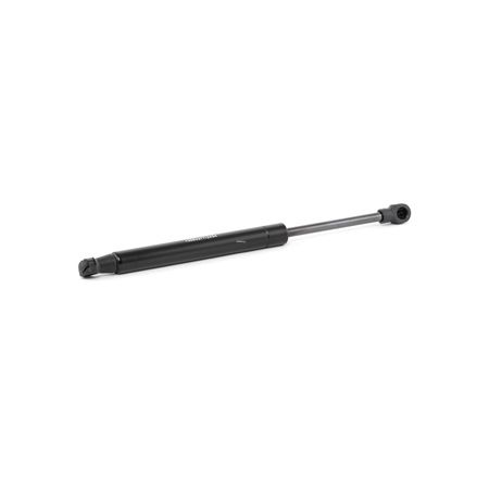 RIDEX 2454G0015 Gasfeder, Heckscheibe CITROЁN C5 II Break (RE_) 133 PS Diesel Kosten