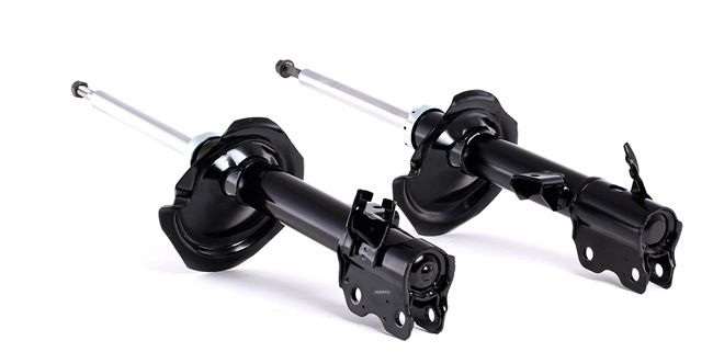 RIDEX 854S1561: Stoßdämpfer Hinterachse, Gasdruck, Federbein