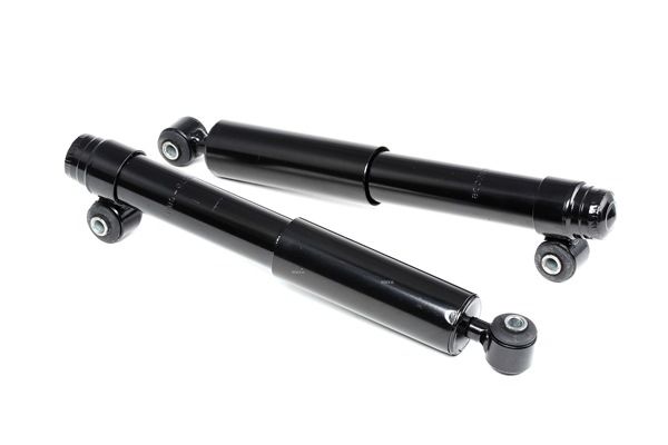 RIDEX 854S1690: Amortiguador Eje trasero, Presión de gas, Cartucho de columna de amortiguador, Amortiguador telescópico