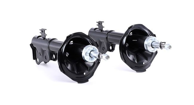 RIDEX 854S1816 Stoßdämpfer RENAULT SCENIC 3 (JZ0/1) 110 PS Benzin/Autogas (LPG) Kosten
