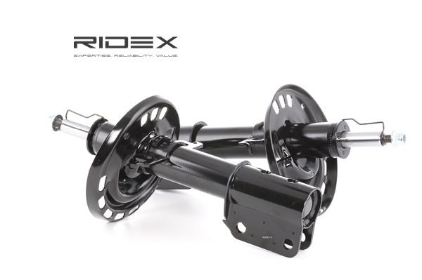 RIDEX 854S1825 Tlmič pérovania RENAULT TWINGO 1 (C06) 75 KS Benzín cena
