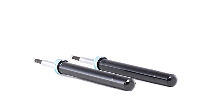 RIDEX 854S1860: Amortiguador Eje delantero, Presión de gas, Cartucho de columna de amortiguador