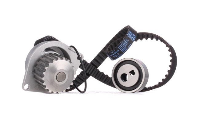 RIDEX 3096W0059: Kit cinghia distribuzione, pompa acqua N° denti: 101, Largh.: 17mm, con pompa acqua