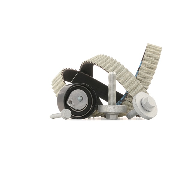 RIDEX 307T0014: Kit de distribution Nbr. dents: 123, 1172mm, avec accessoires