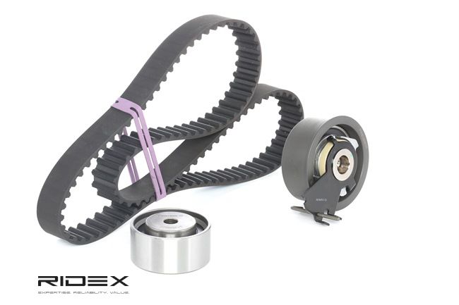 RIDEX 307T0205: Zahnriemensatz Zähnez.: 113, 1076mm