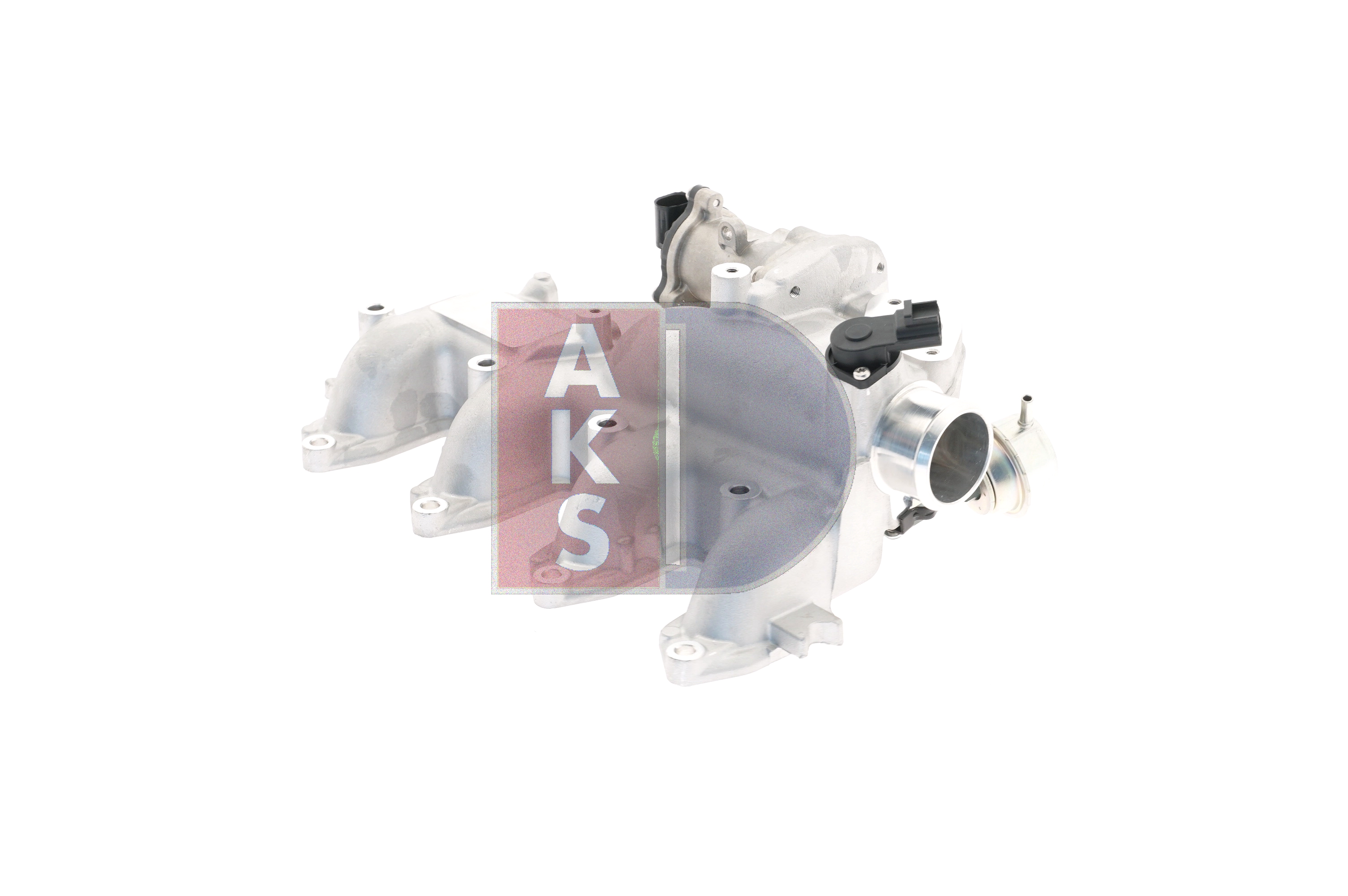 AKS DASIS 095031N: Supapă EGR cu etansare, cu control clapeta acceleratie