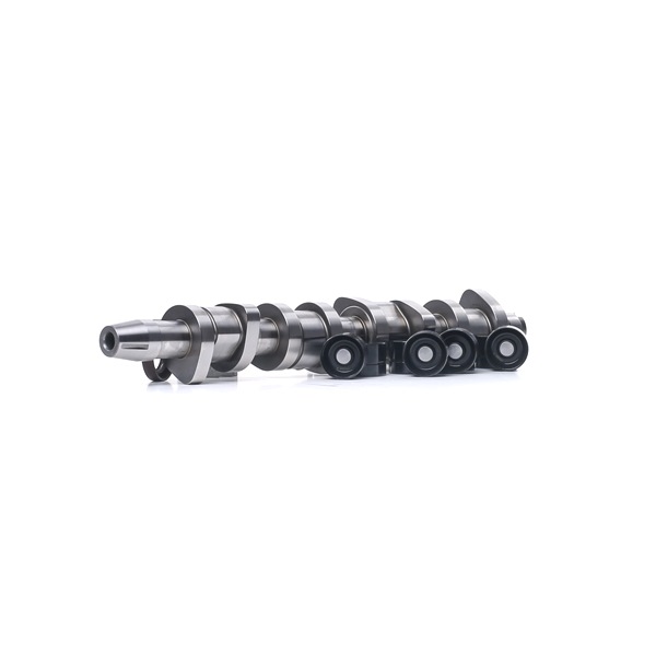 Borsehung B18664 Kit albero a camme VOLKSWAGEN Golf 5 (1K5) 105 CV Diesel costo