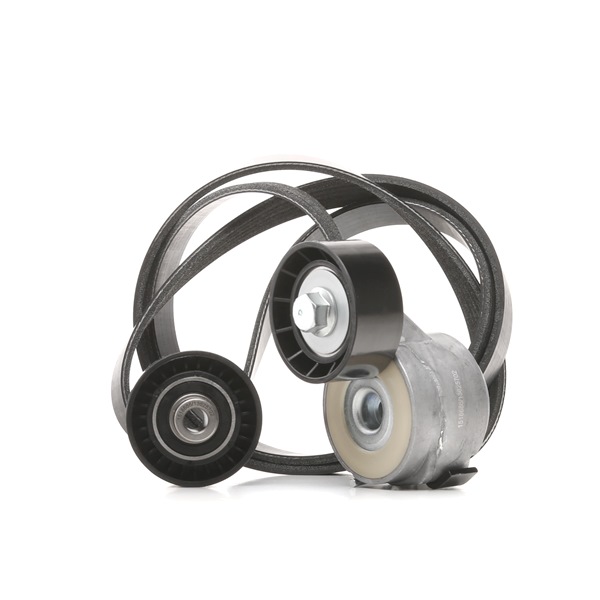 RIDEX 542R0048 Keilrippenriemensatz CITROЁN C5 II Break (RE_) 109 PS Diesel Kosten