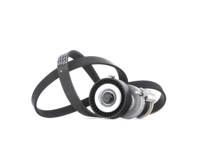 RIDEX 542R0049 Poly V-riem set SKODA FELICIA 1 (6U1) 75 Pk Benzine kosten